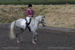 ISIS Dressage Challenge 2008